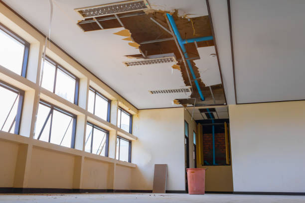 Best 24/7 water damage repair  in Clute, TX