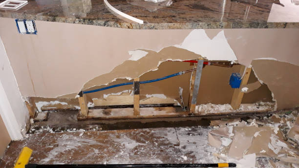 Best Flood restoration services  in Clute, TX